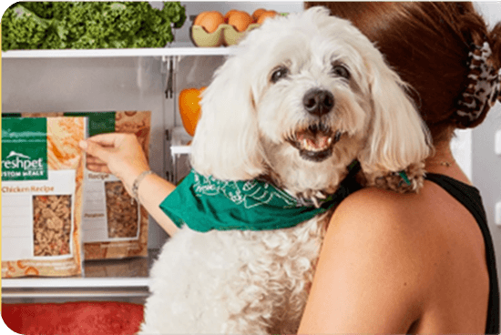 TV & Social Media image